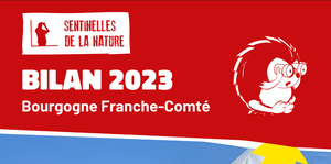 RETROUVEZ LE BILAN 2023 DE SENTINELLES DE LA NATURE EN BOURGOGNE FRANCHE-COMTÉ !